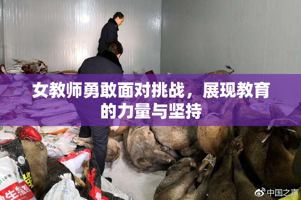 女教师勇敢面对挑战，展现教育的力量与坚持