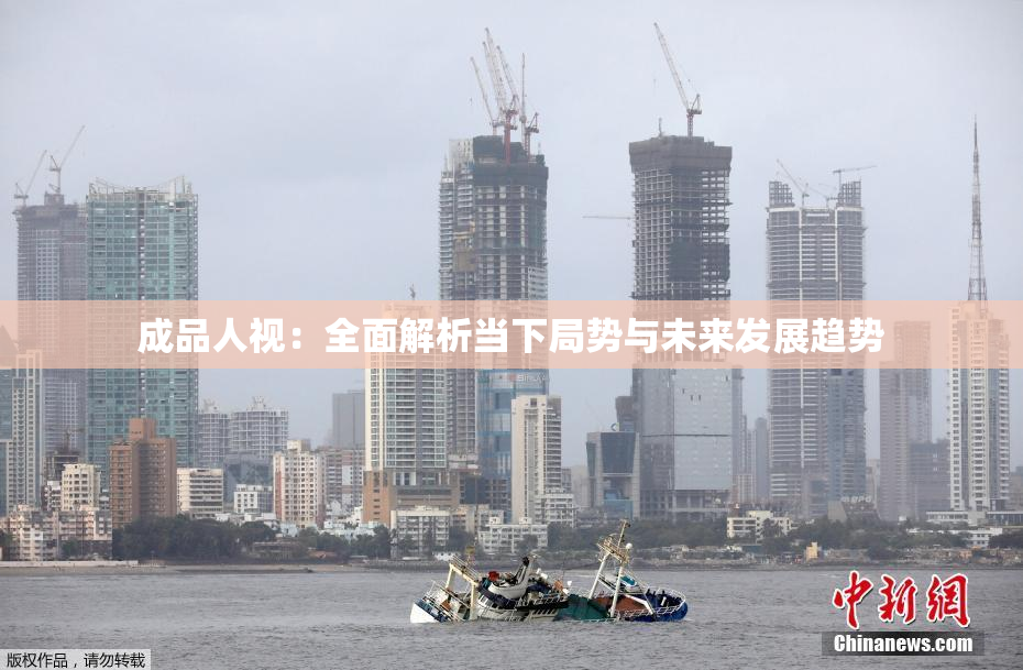 成品人视：全面解析当下局势与未来发展趋势