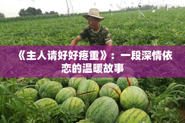 《主人请好好疼重》：一段深情依恋的温暖故事