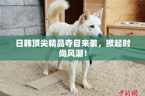 日韩顶尖精品夺目来袭，掀起时尚风潮！