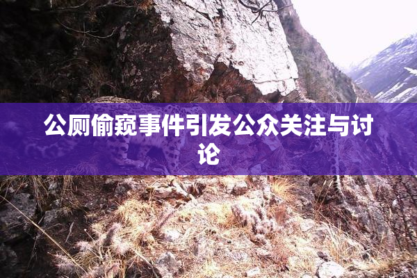 公厕偷窥事件引发公众关注与讨论