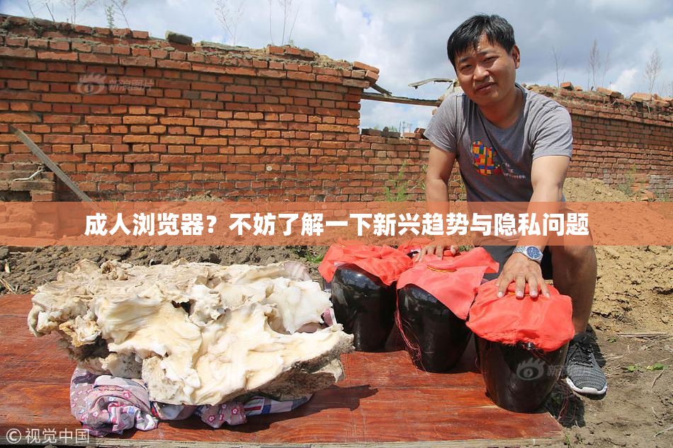 成人浏览器？不妨了解一下新兴趋势与隐私问题