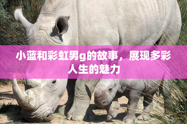 小蓝和彩虹男g的故事，展现多彩人生的魅力