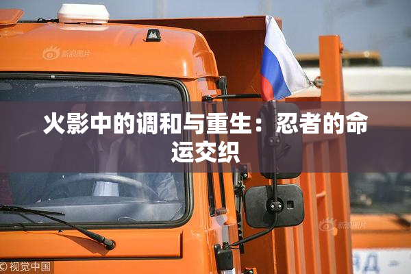 火影中的调和与重生：忍者的命运交织