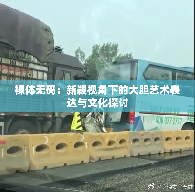 裸体无码：新颖视角下的大胆艺术表达与文化探讨