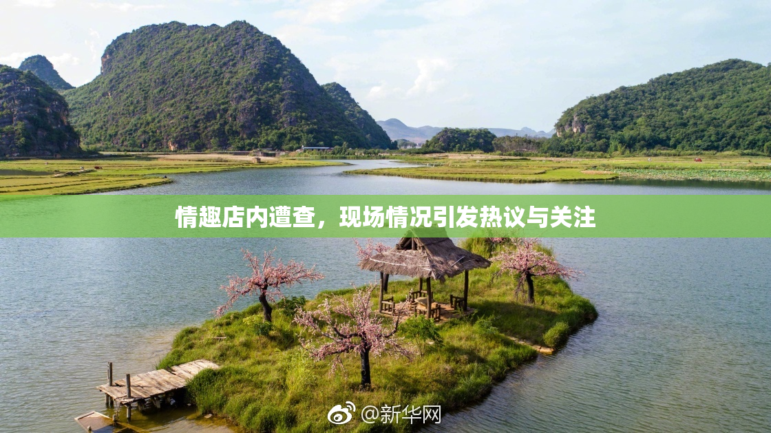 情趣店内遭查，现场情况引发热议与关注