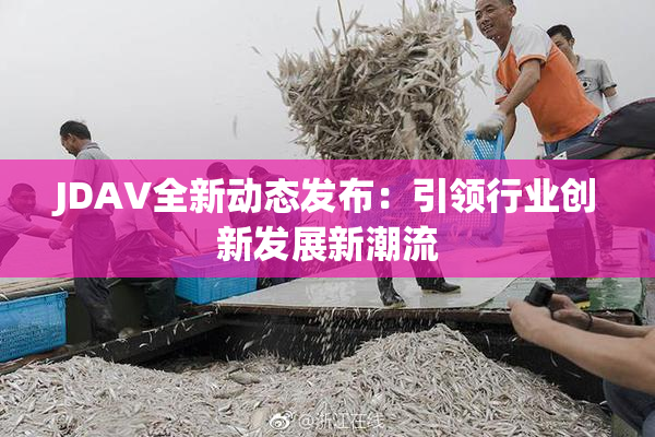 JDAV全新动态发布：引领行业创新发展新潮流