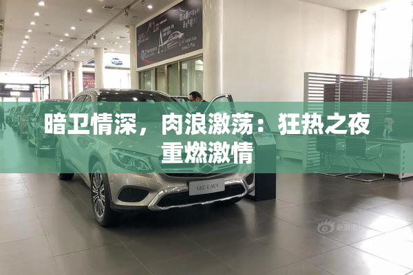 暗卫情深，肉浪激荡：狂热之夜重燃激情