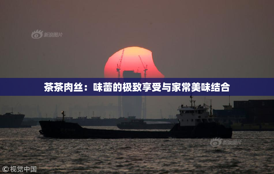 茶茶肉丝：味蕾的极致享受与家常美味结合
