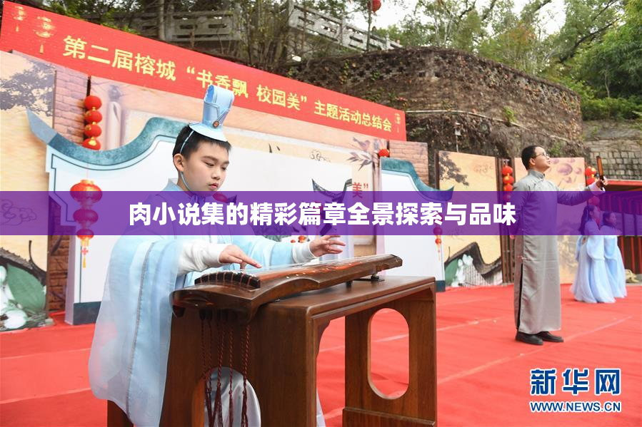 肉小说集的精彩篇章全景探索与品味