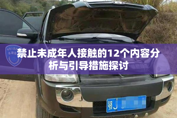 禁止未成年人接触的12个内容分析与引导措施探讨