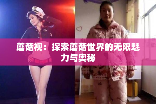 蘑菇视：探索蘑菇世界的无限魅力与奥秘