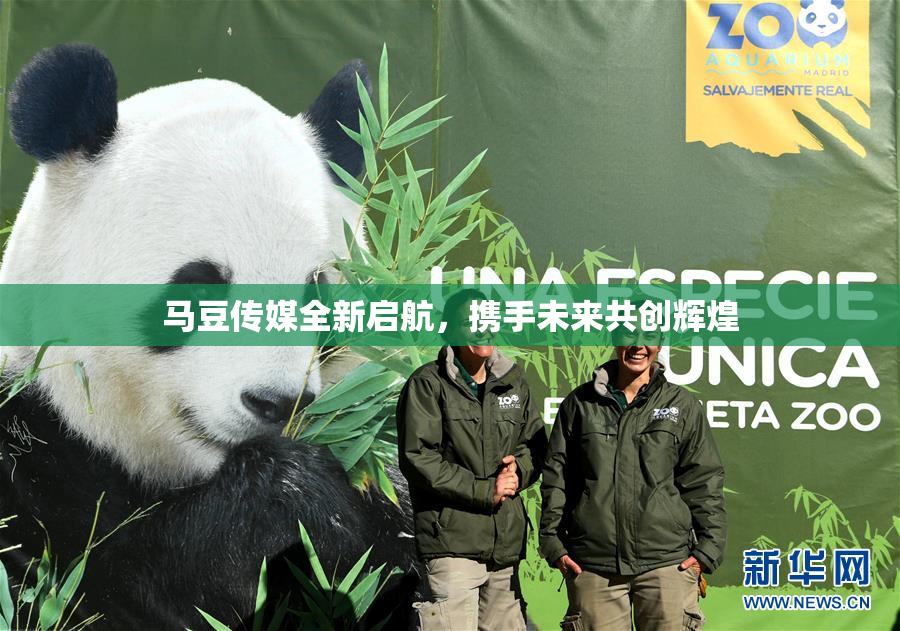 马豆传媒全新启航，携手未来共创辉煌