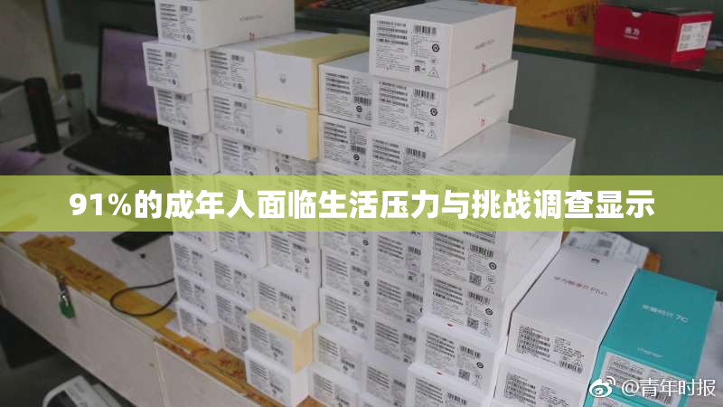 91%的成年人面临生活压力与挑战调查显示