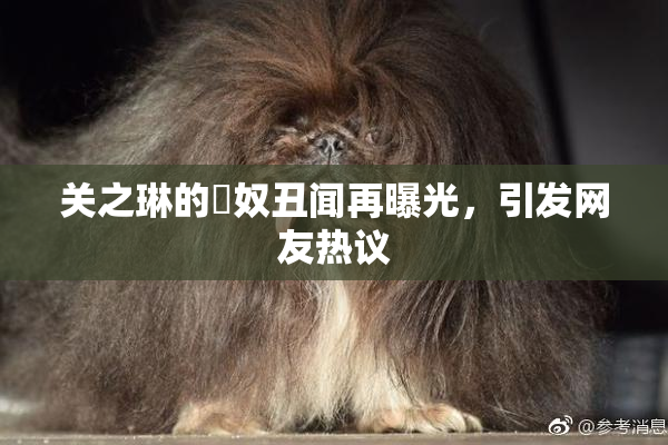 关之琳的婬奴丑闻再曝光，引发网友热议
