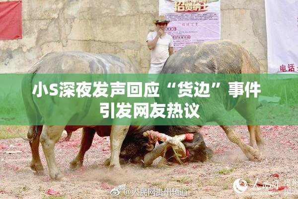 小S深夜发声回应“货边”事件 引发网友热议
