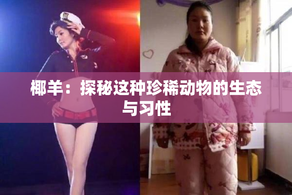 椰羊：探秘这种珍稀动物的生态与习性