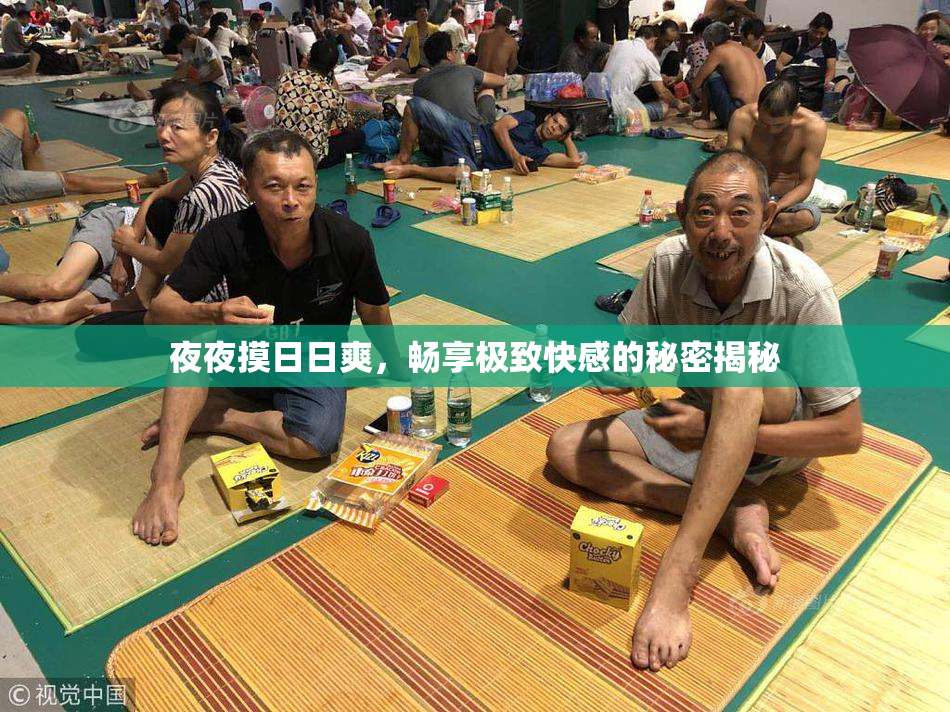 夜夜摸日日爽，畅享极致快感的秘密揭秘
