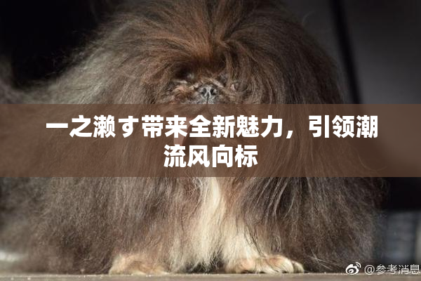 一之濑す带来全新魅力，引领潮流风向标