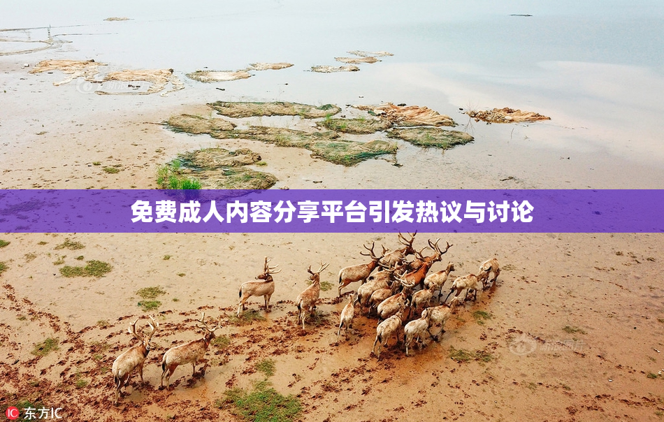 免费成人内容分享平台引发热议与讨论
