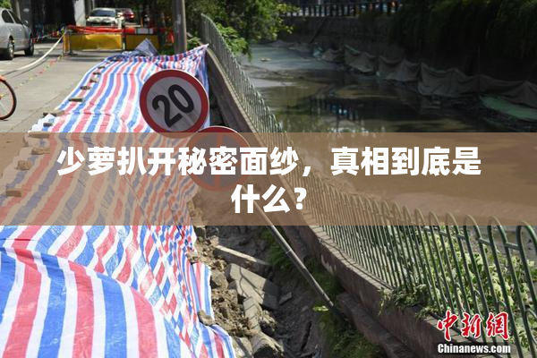 少萝扒开秘密面纱，真相到底是什么？