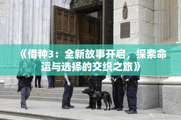 《借种3：全新故事开启，探索命运与选择的交织之旅》