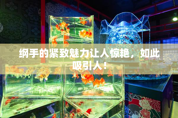 纲手的紧致魅力让人惊艳，如此吸引人！
