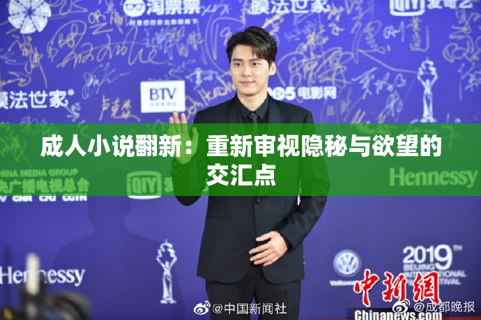 成人小说翻新：重新审视隐秘与欲望的交汇点