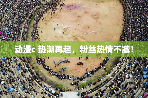 动漫c 热潮再起，粉丝热情不减！