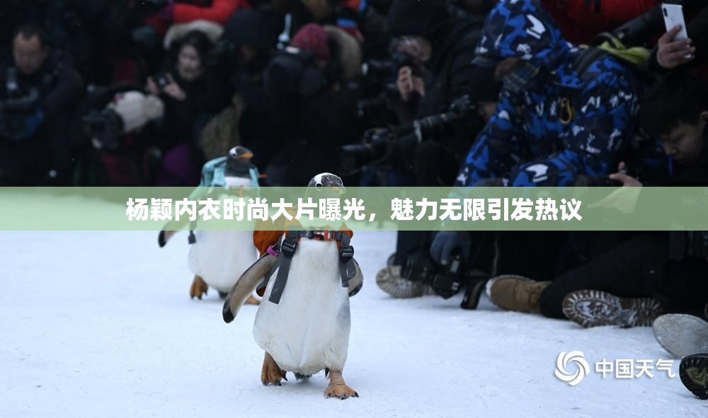 杨颖内衣时尚大片曝光，魅力无限引发热议