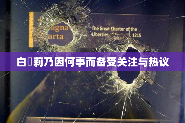 白咲莉乃因何事而备受关注与热议