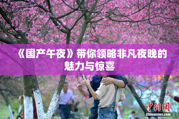 《国产午夜》带你领略非凡夜晚的魅力与惊喜