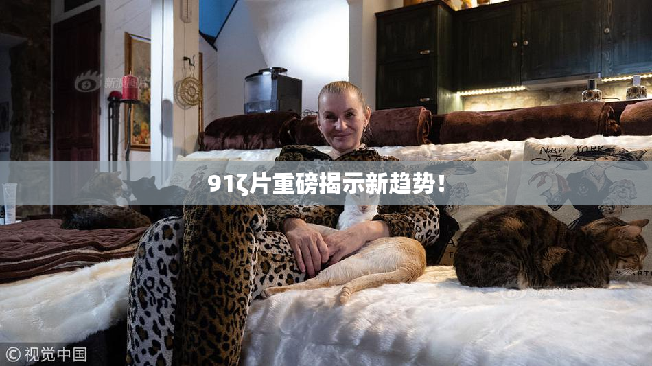 91ζ片重磅揭示新趋势！