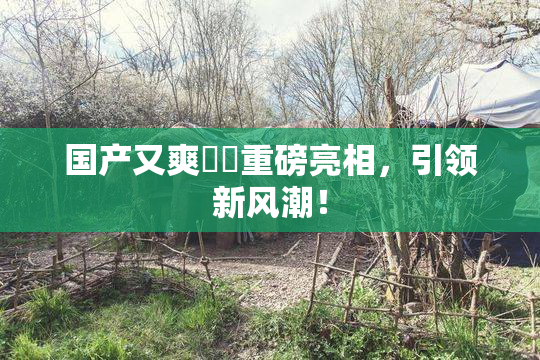 国产又爽❌‌重磅亮相，引领新风潮！