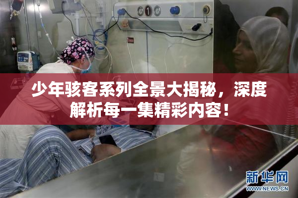 少年骇客系列全景大揭秘，深度解析每一集精彩内容！