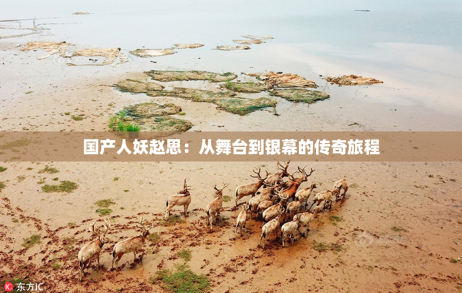 国产人妖赵思：从舞台到银幕的传奇旅程