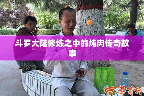 斗罗大陆修炼之中的炖肉传奇故事