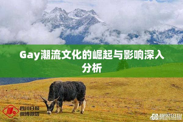 Gay潮流文化的崛起与影响深入分析