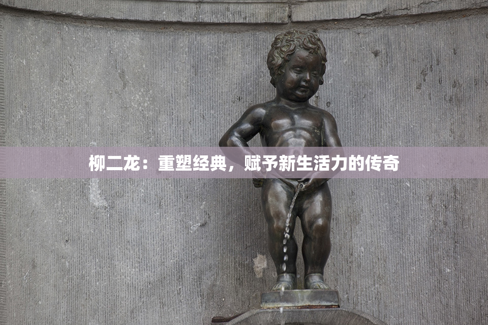 柳二龙：重塑经典，赋予新生活力的传奇