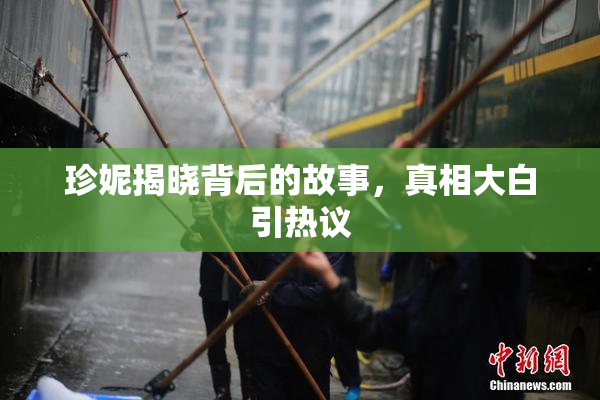珍妮揭晓背后的故事，真相大白引热议