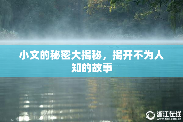 小文的秘密大揭秘，揭开不为人知的故事