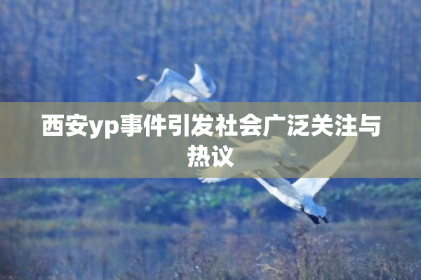 西安yp事件引发社会广泛关注与热议