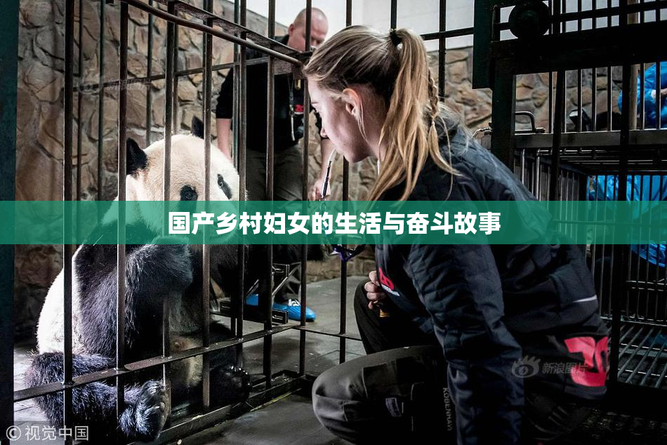 国产乡村妇女的生活与奋斗故事