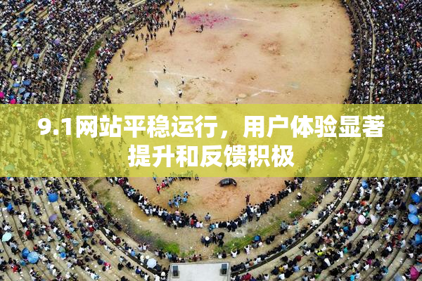 9.1网站平稳运行，用户体验显著提升和反馈积极