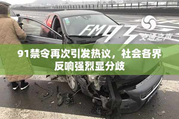 91禁令再次引发热议，社会各界反响强烈显分歧