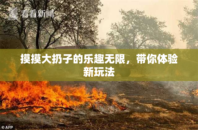 摸摸大扔子的乐趣无限，带你体验新玩法