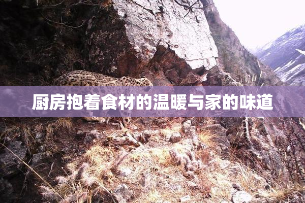 厨房抱着食材的温暖与家的味道