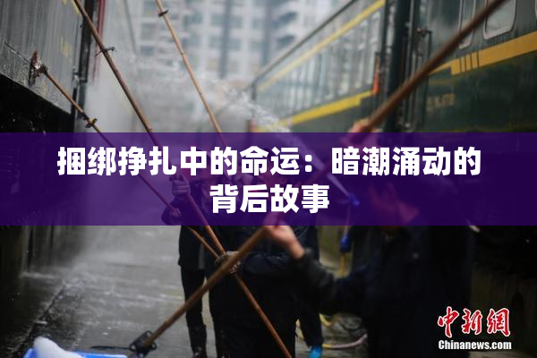 捆绑挣扎中的命运：暗潮涌动的背后故事