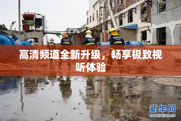 高清频道全新升级，畅享极致视听体验