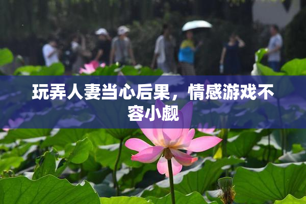玩弄人妻当心后果，情感游戏不容小觑